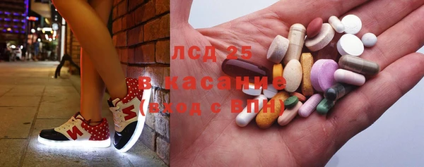 сатива Арсеньев