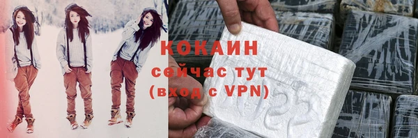 сатива Арсеньев