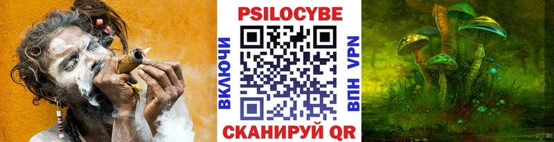 Псилоцибиновые грибы мицелий  Таштагол 